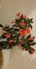 received_1502301006874182