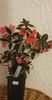 received_620519186404570