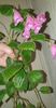 received_3303402423312425