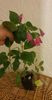 received_1093803464838259