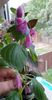 received_862701865115838