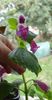 received_1425045327975366