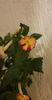 received_657342218858003