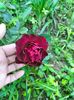 IMG20220918182850