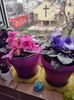 IMG-20220403-WA0001