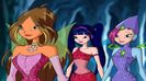 Flora, Musa, Tecna