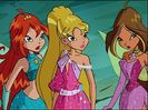Bloom, Stella, Flora