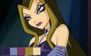 Darcy