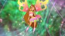 Flora