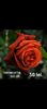 Screenshot_20220914-213302_Gallery