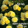 1361a_rosier_anny_duperey_meitongas-mi-t1000_1