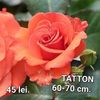 80f69f2973b9452497f322fb2ebf2856