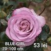 efe5cafbf19744a38bdb914307efb91d