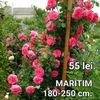 5796aee4321342a19ab47ddf5f706c04