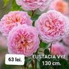 6785cdc31a6d4d80815f93cb8b83c871