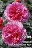 8f55e41bd1414efbbe671e99e89da2e4