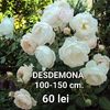 7462ac2af8964cf796df983edbe4d533