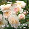 6db99edd030a4ce49209c122ef0ecc5d-1