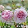 e210cf7d03f14cc9b1a4845e738fab20