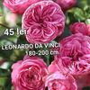 ba57d750d1124d71ab25a995cb309023