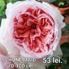 e64babb7cac448cb8eb5d379ab5a9707