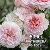 e2332eda3f4e41f498c584e124a9cddb