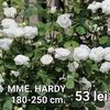 00fc23081eaa48b98fdf5f59faf6e0c1
