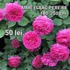 1ae16c9cd7dd4f8183a27c53da94bbd9-1