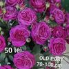 47bd4667244349f1b09cf4964316b831-2