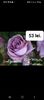 Screenshot_20220823-084731_Facebook