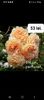 Screenshot_20220823-084713_Facebook