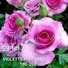 3506a07f766b4b33bc3467406508d64f