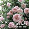 da92e5e124bd42528891e9ecf1044caf-1