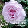 f9f2686dacd04f23b196a683c717f2b1