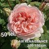 b15e9dcb7083461ab8814f90142f519e