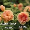 208152f1b8a94cd8bfb323b0c3ddadbc