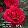 01306e3b0e414163b25b313cc8e0d9f2