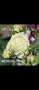 Screenshot_20220820-213848_Gallery