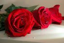 85221588_ILEHCOX-1