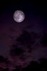 103901128_KAFWZFI