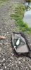 IMG-20220710-WA0034