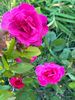 A6AB3641-29D9-40DD-968F-78B55A3D7841