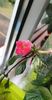 fa4e560c-dbbf-49ff-92a9-7175a5016eb9photo