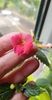 received_1175060096382489