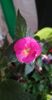 received_790796845461041