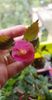 received_1063396687693656