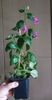 received_496032025383271
