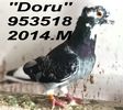 2014.953518.m 2014