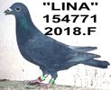 2018.154771.+F - Copy (3)