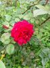 IMG20221003122753